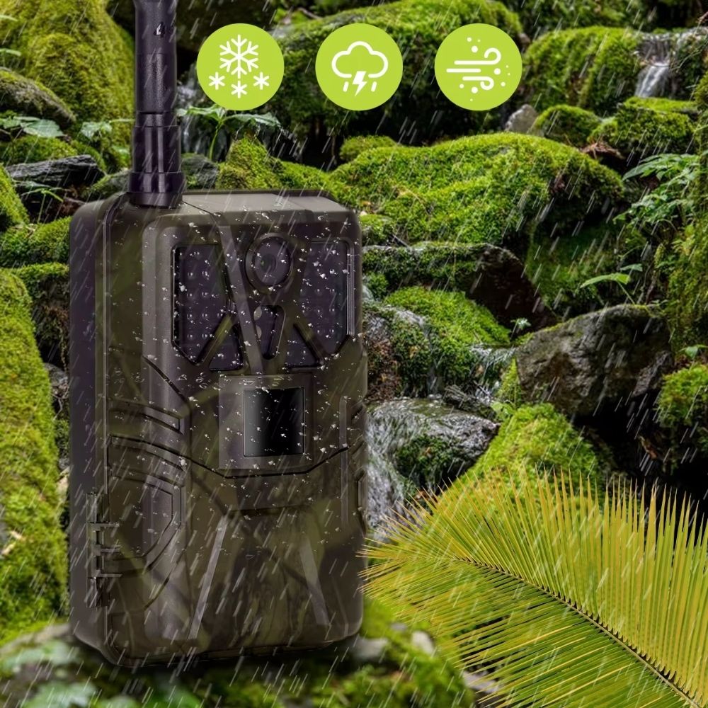 NaturaScope Sentinel 4G – Caméra de chasse 4G & piège photo Ultra HD 4K avec vision nocturne invisible
