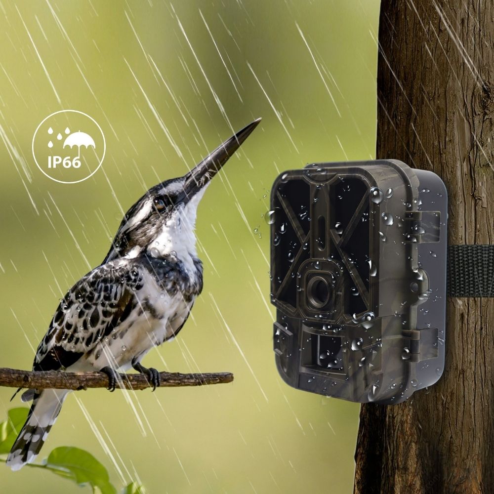 NaturaScope Tracker 4K – Caméra de chasse & piège photo WiFi rechargeable avec vision nocturne infrarouge et détection PIR 120°