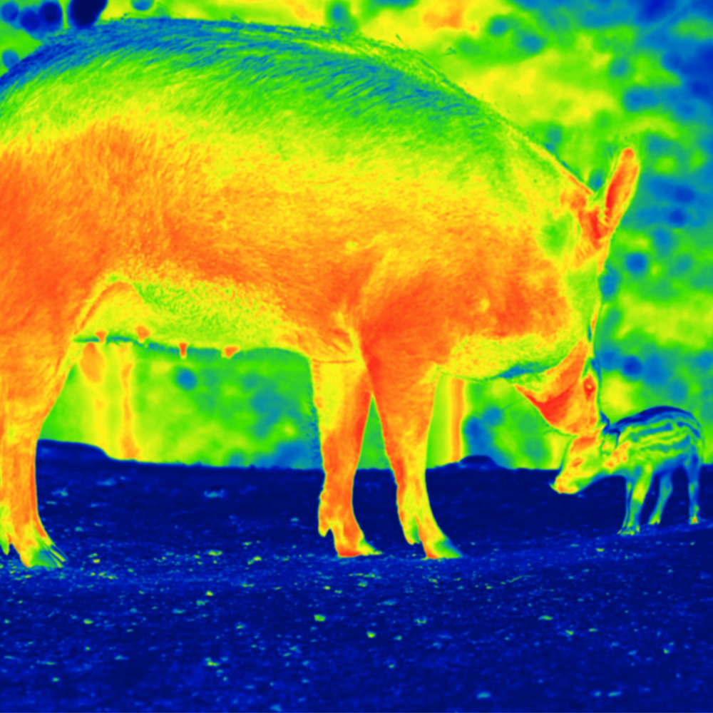 NaturaScope NF-521 – Caméra thermique portable avec vision claire jour et nuit