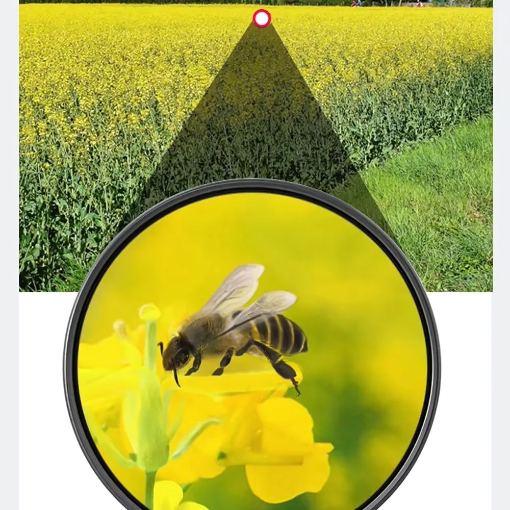 VISIONTRAIL™ – Jumelles longues et puissantes HD pour randonnée, observation de la nature et vision détaillée à distance