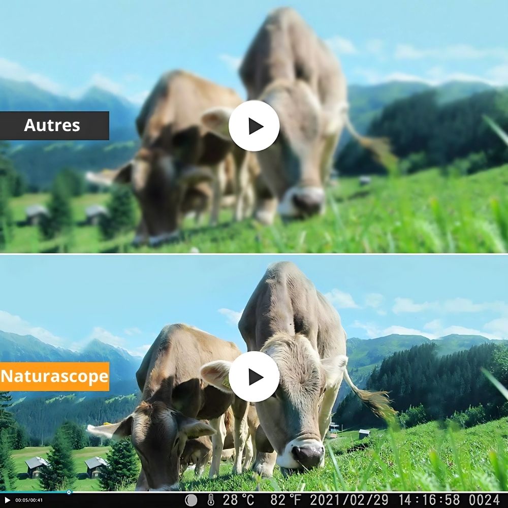 NaturaScope GuardianCam 4G – Caméra de chasse 4G & piège photo HD 30MP avec vision en direct, détection thermique et étanchéité IP66