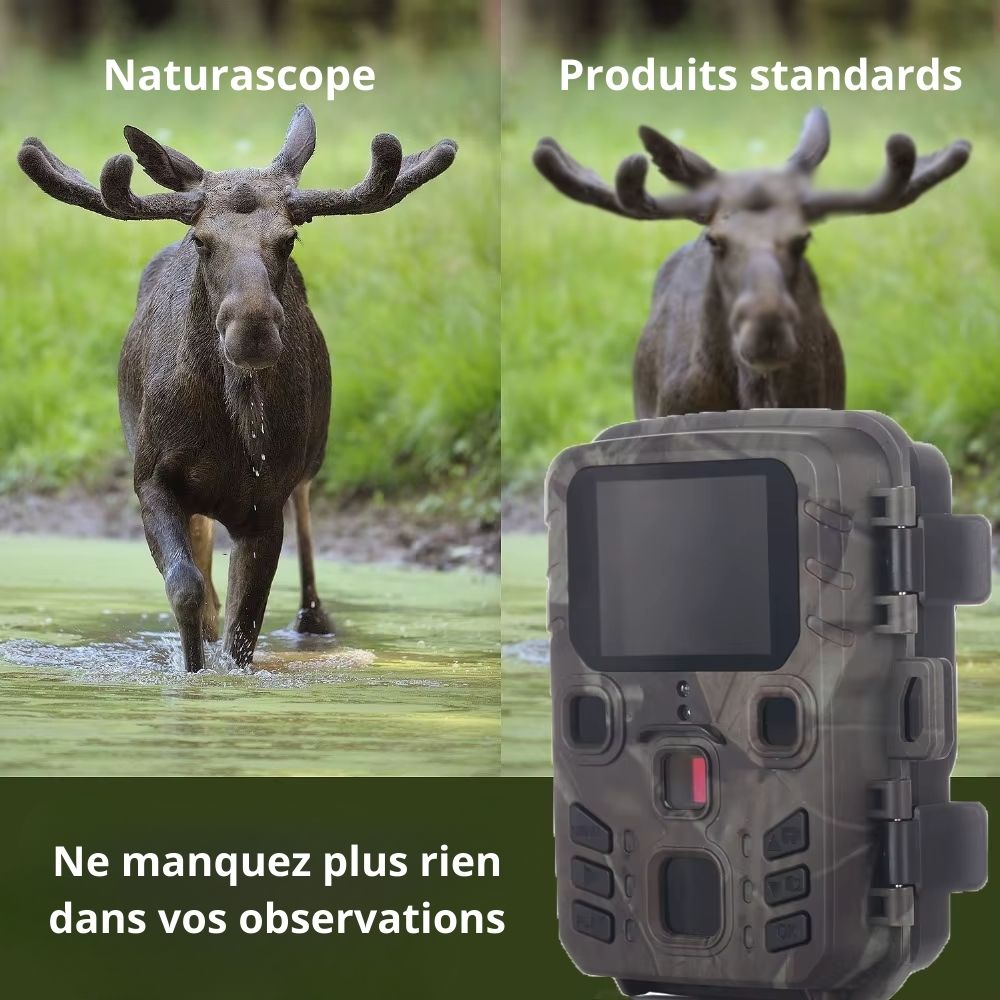 NaturaScope ScoutView – Caméra de chasse autonome HD 1080P & piège photo avec vision nocturne