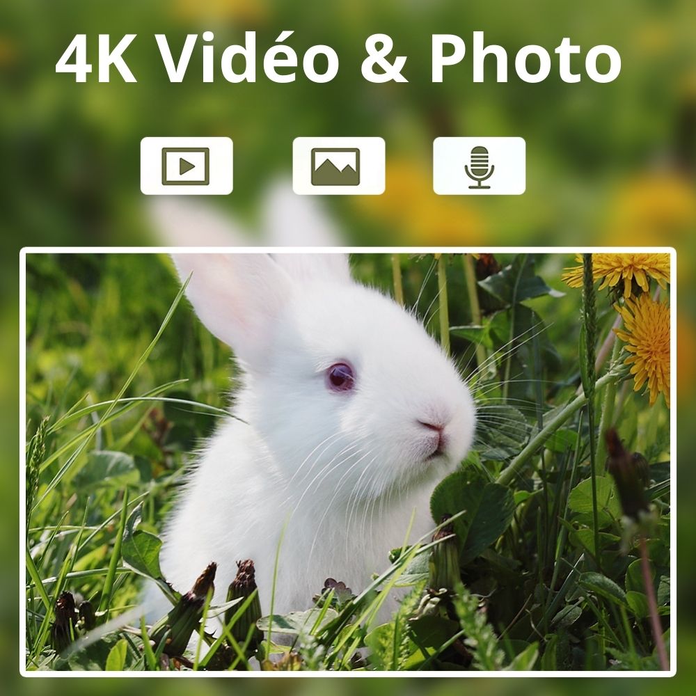 NaturaScope GuardianCam 4G – Caméra de chasse 4G & piège photo HD 30MP avec vision en direct, détection thermique et étanchéité IP66