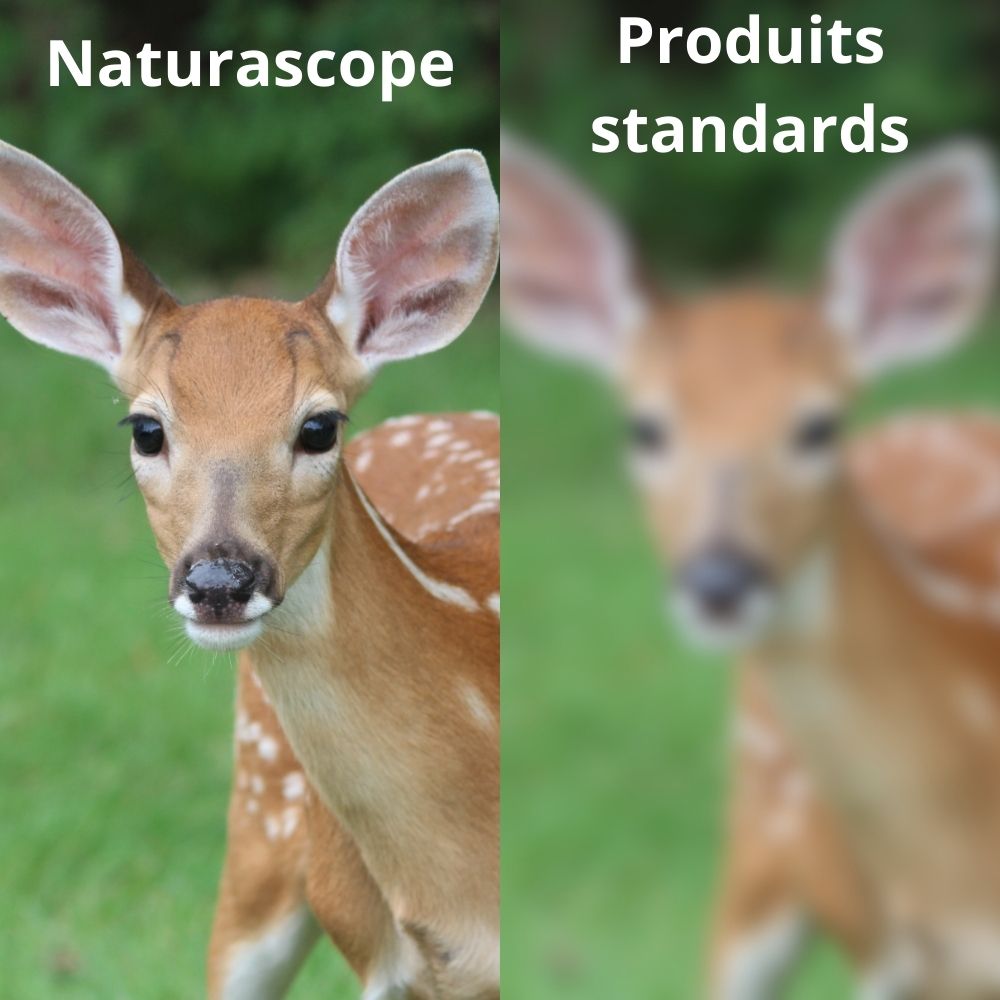 NAVIS PRO – Jumelles puissantes marines avec boussole et télémètre intégrés, étanches