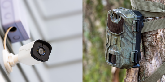 Caméra de chasse ou caméra de surveillance : laquelle choisir pour protéger un terrain ?