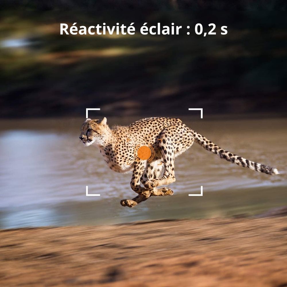 NaturaScope AlertVision 2G – Caméra de chasse & piège photo avec alertes MMS en direct