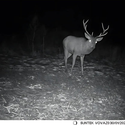 NaturaScope Pathfinder – Caméra de chasse 4G & piège photo 36MP 4K avec vision nocturne et contrôle via appli