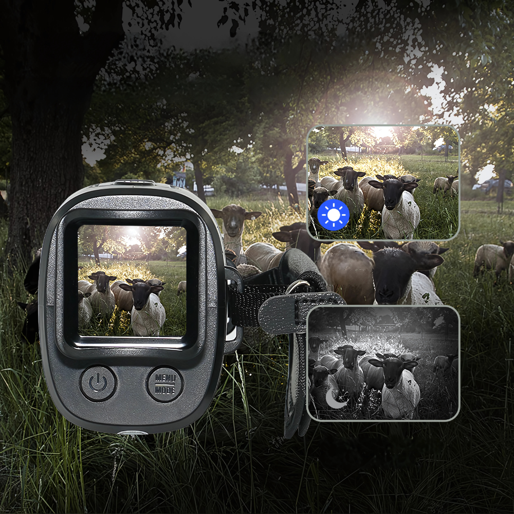 PredaVision™ – Lunettes, monoculaire et caméra à vision nocturne HD pour observation discrète dans le noir