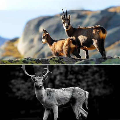 NaturaScope AlertVision 2G – Caméra de chasse & piège photo avec alertes MMS en direct