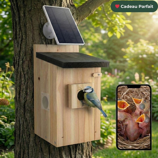 NaturaScope SolarNest – Nichoir Solaire Connecté Sans Fil, Caméra 5MP WiFi & Vision Nocturne