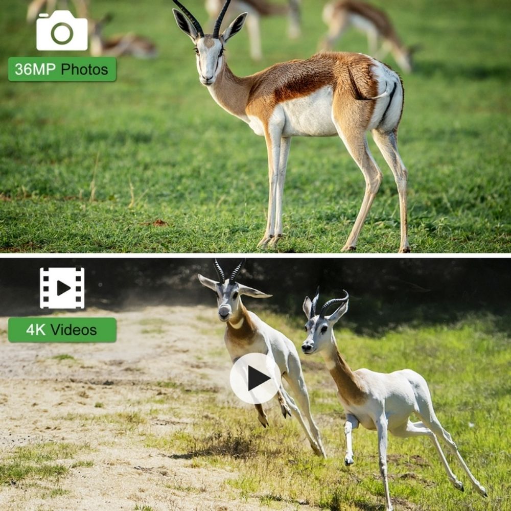 NaturaScope Pathfinder – Caméra de chasse 4G & piège photo 36MP 4K avec vision nocturne et contrôle via appli