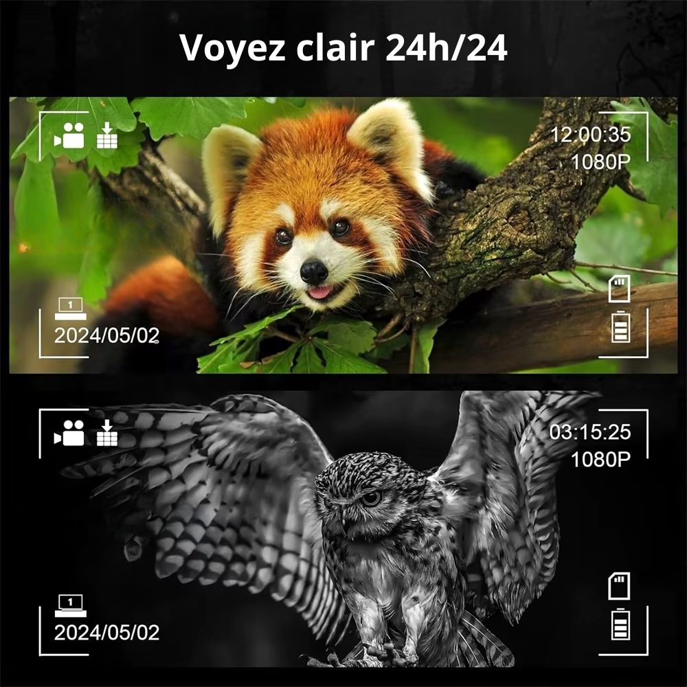 NIGHTWOLF VISION™ – Jumelles, lunettes et caméra à vision nocturne avec fixation tête et portée 300 m dans l’obscurité totale