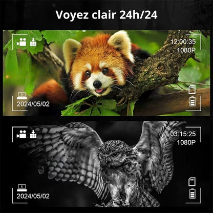 NIGHTWOLF VISION™ – Jumelles, lunettes et caméra à vision nocturne avec fixation tête et portée 300 m dans l’obscurité totale