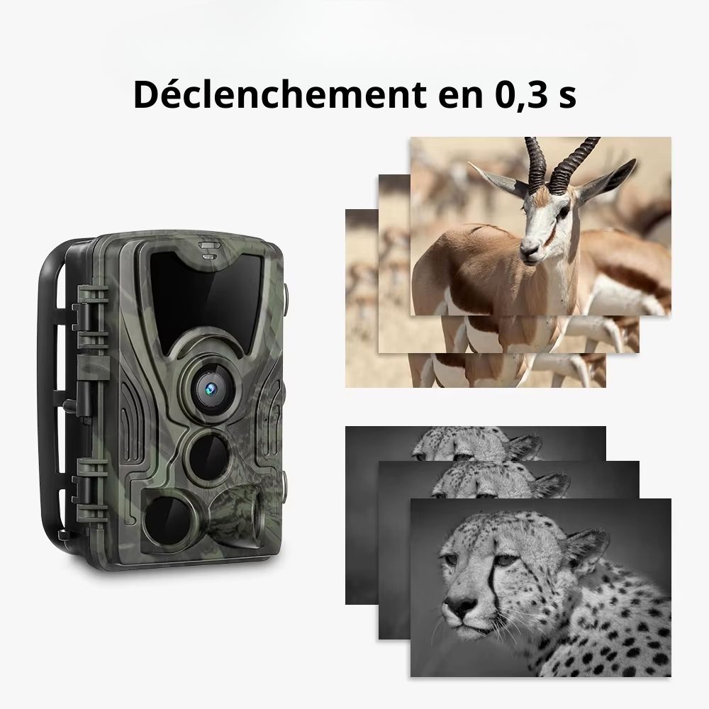NaturaScope Frontier – Caméra de chasse HD 1080P & piège photo 20MP étanche IP65 avec vision nocturne et déclenchement rapide