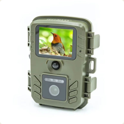 NaturaScope WildNest™ – Mangeoire avec caméra autonome et détection instantanée des oiseaux