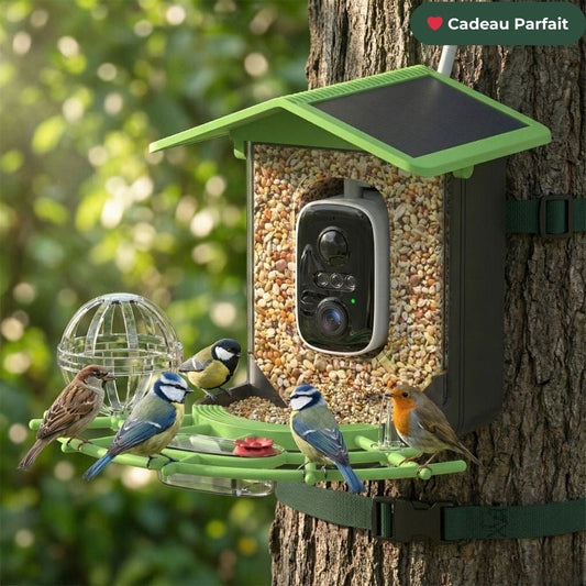 NaturaScope VisionAir – Mangeoire connectée HD avec caméra et reconnaissance intelligente des oiseaux