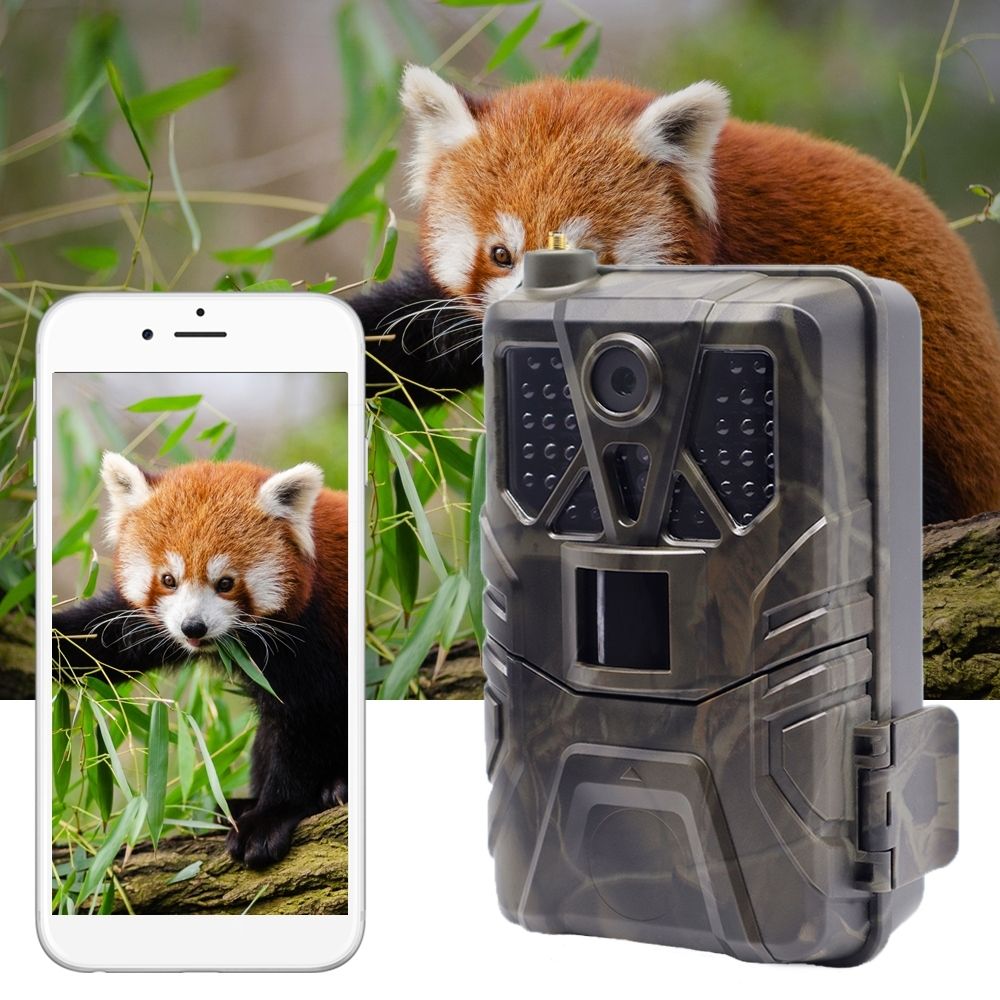 NaturaScope Sentinel 4G – Caméra de chasse 4G & piège photo Ultra HD 4K avec vision nocturne invisible