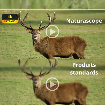 NaturaScope Tracker 4K – Caméra de chasse & piège photo WiFi rechargeable avec vision nocturne infrarouge et détection PIR 120°