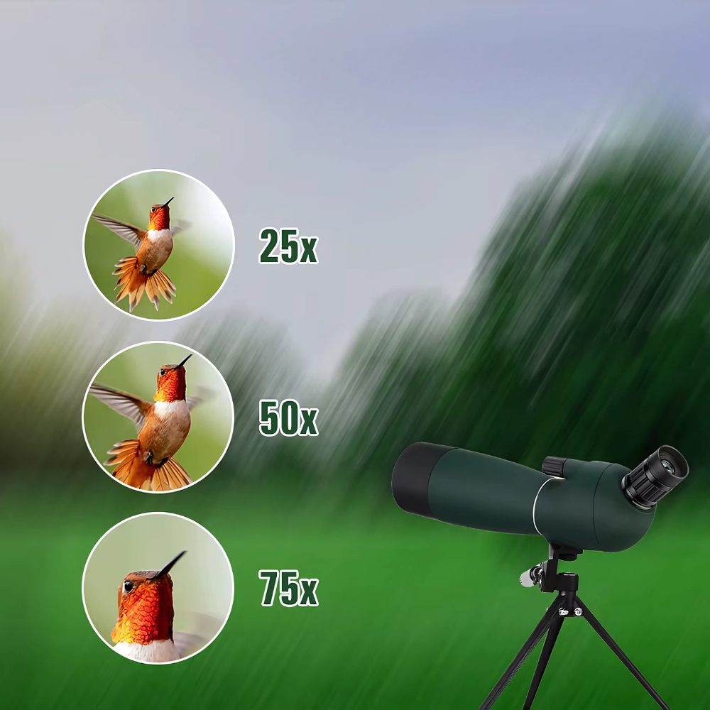 EagleSight 70 – Longue-vue grand angle 25×–75× HD pour observation précise à très longue distance