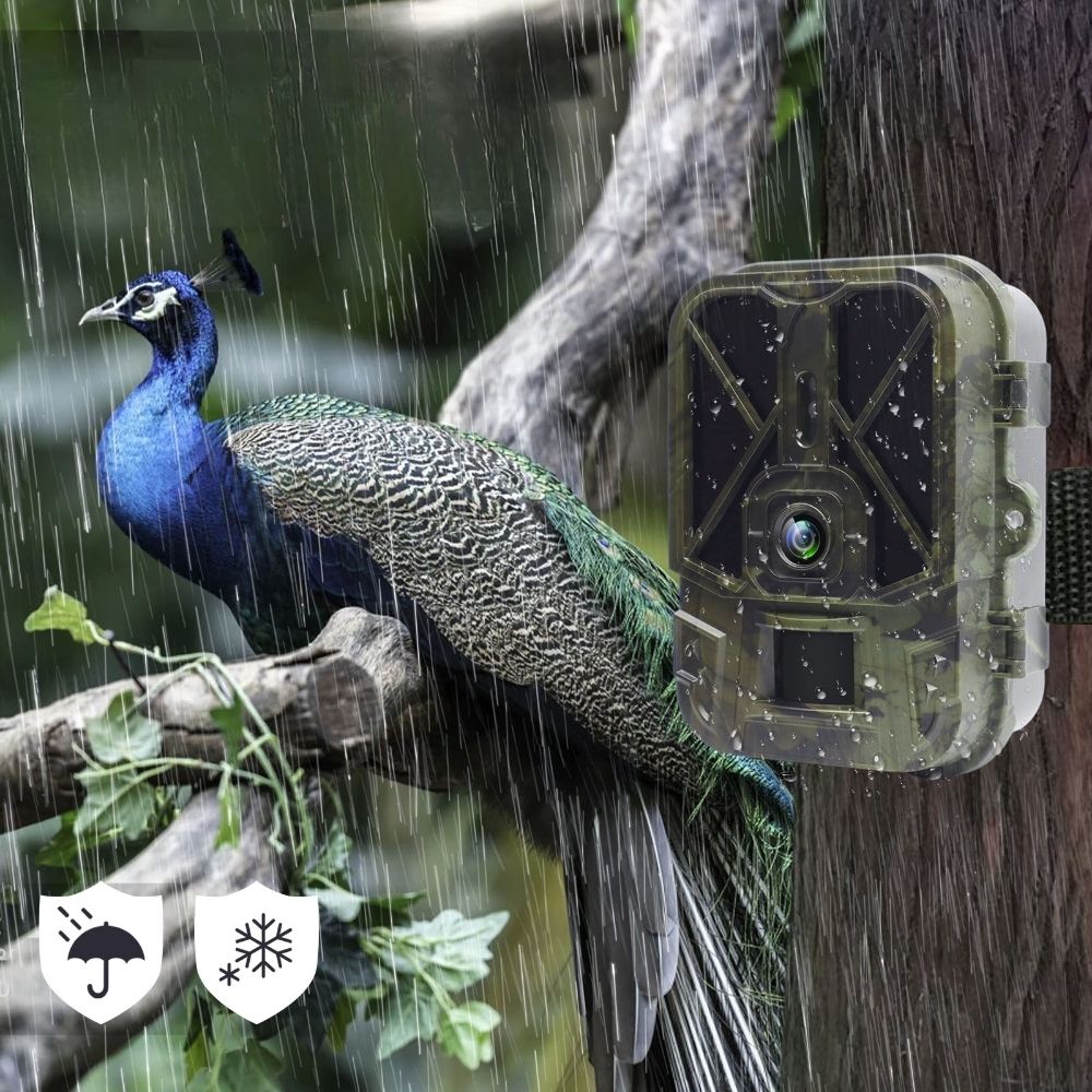 NaturaScope UltraPro 4G – Caméra de chasse 4G & piège photo 30MP avec vidéo 4K et vision nocturne invisible