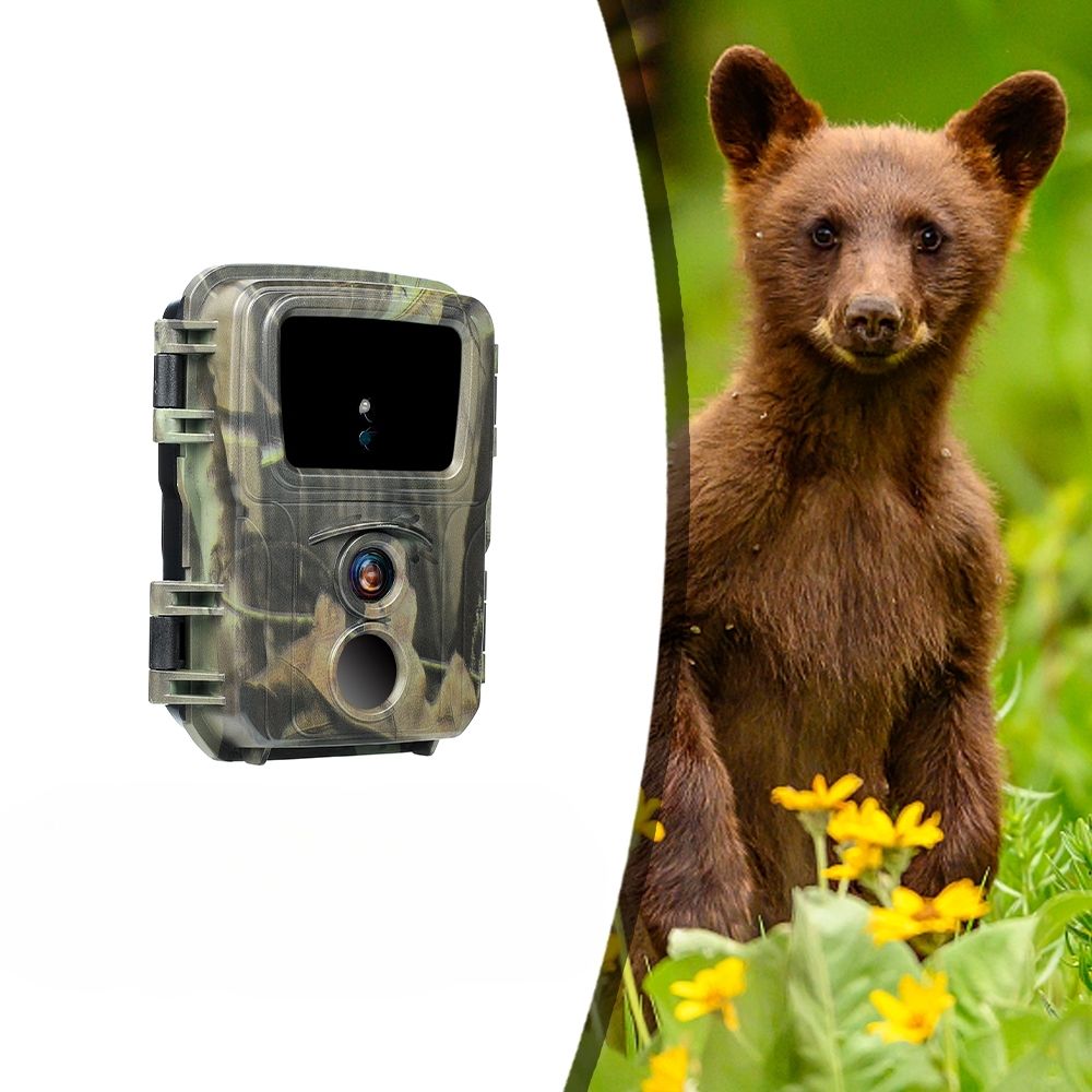 NaturaScope MiniCam Stealth – Caméra de chasse HD 20MP & piège photo ultra-compact avec vision nocturne et autonomie XXL
