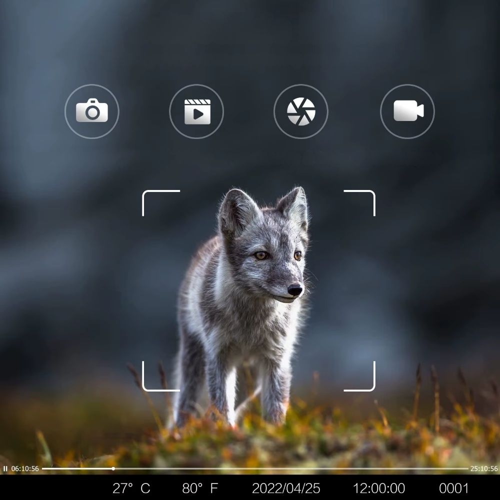 NaturaScope UltraPro 4G – Caméra de chasse 4G & piège photo 30MP avec vidéo 4K et vision nocturne invisible