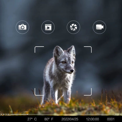NaturaScope UltraPro 4G – Caméra de chasse 4G & piège photo 30MP avec vidéo 4K et vision nocturne invisible