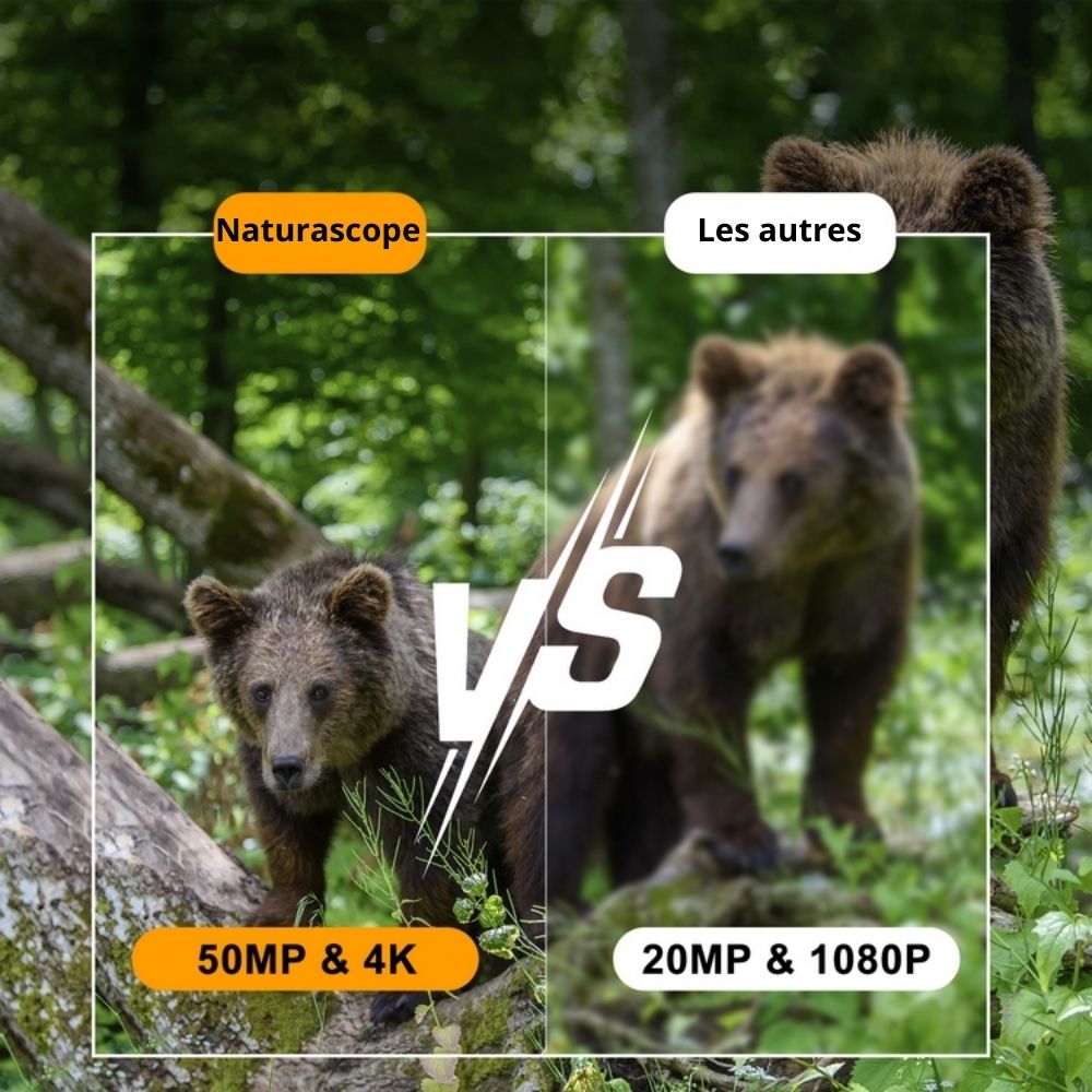 NaturaScope Solar Tracker – Caméra de chasse solaire 50MP 4K & piège photo avec vision nocturne et détection rapide