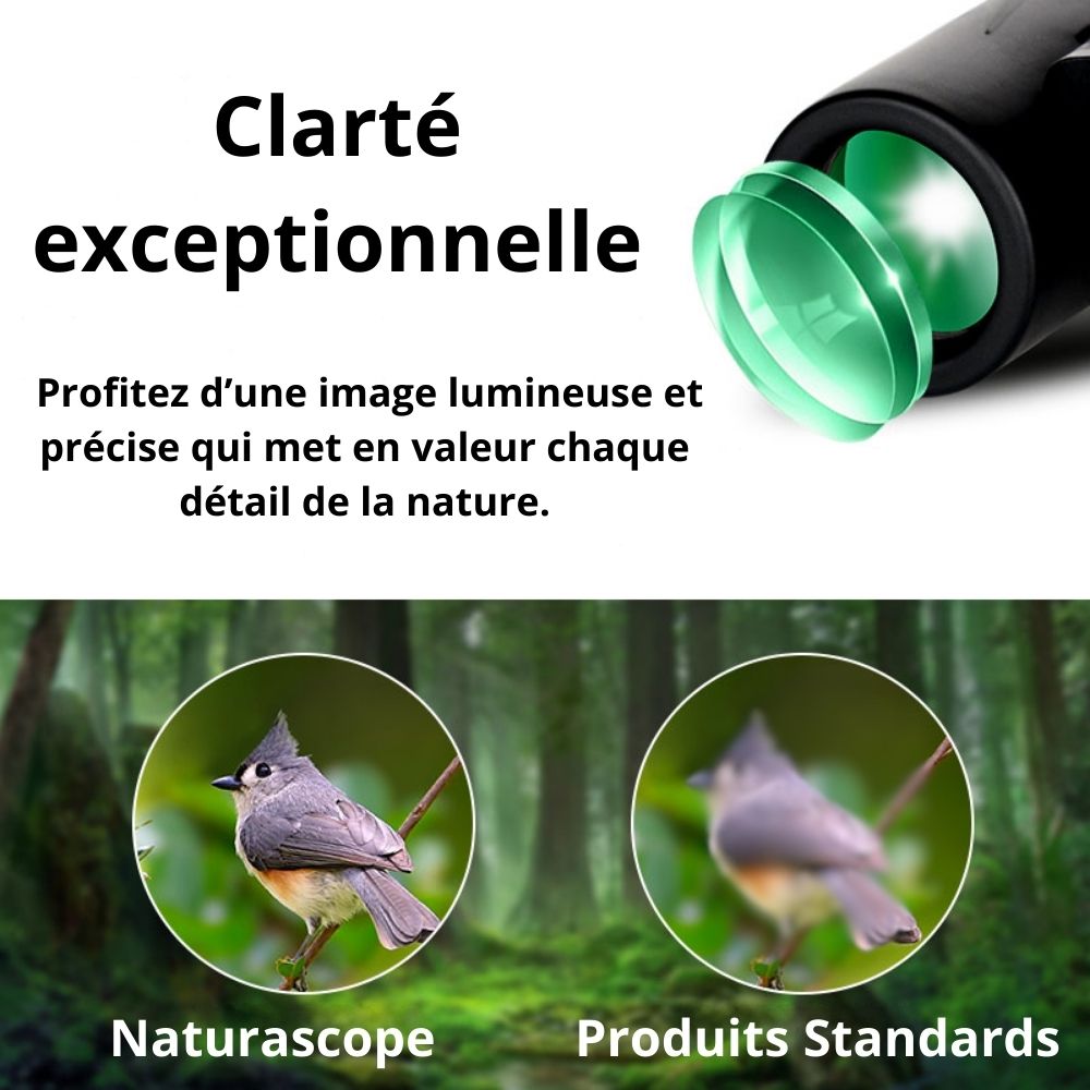 EAGLEWING™ – Jumelles compactes puissantes longue portée 10x pour enfants et adultes débutants, faciles à utiliser en pleine nature