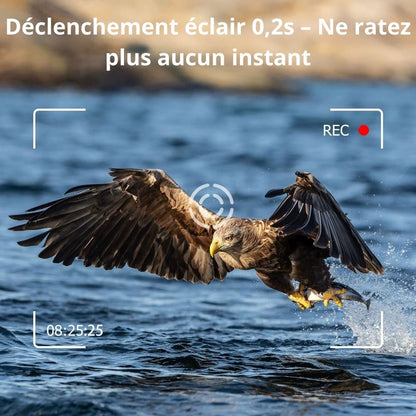 NaturaScope UltraPro 4G – Caméra de chasse 4G & piège photo 30MP avec vidéo 4K et vision nocturne invisible