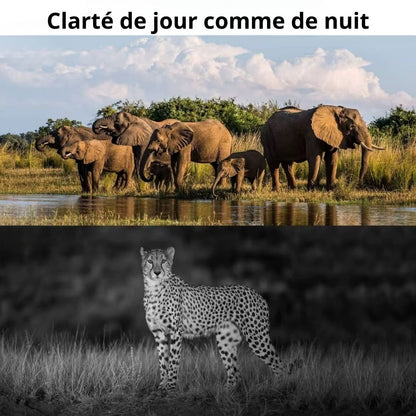 NaturaScope Sentinel 4G – Caméra de chasse 4G & piège photo Ultra HD 4K avec vision nocturne invisible