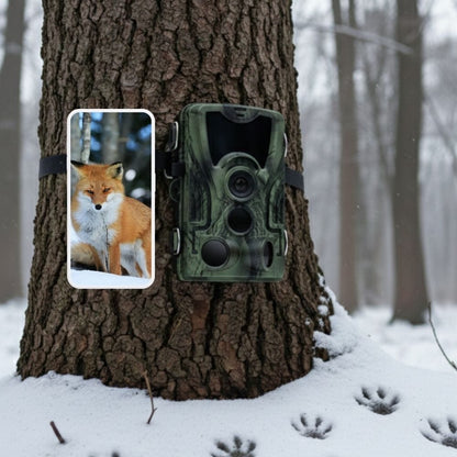 NaturaScope GuardianCam 4G – Caméra de chasse 4G & piège photo HD 30MP avec vision en direct, détection et étanchéité IP66